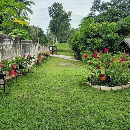 Balai Mariacaria Pension House Guindulman Ngoại thất bức ảnh