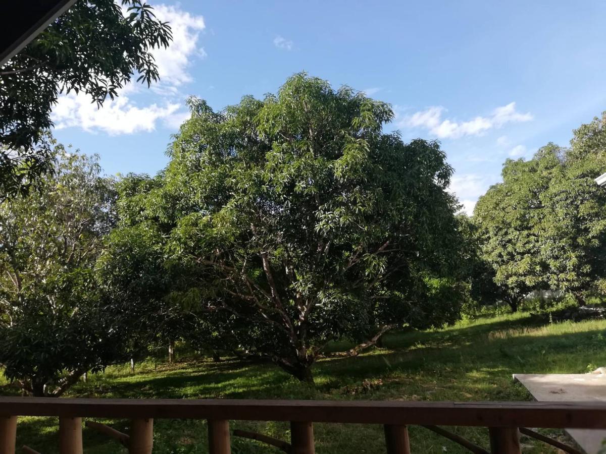 Balai Mariacaria Pension House Guindulman Ngoại thất bức ảnh