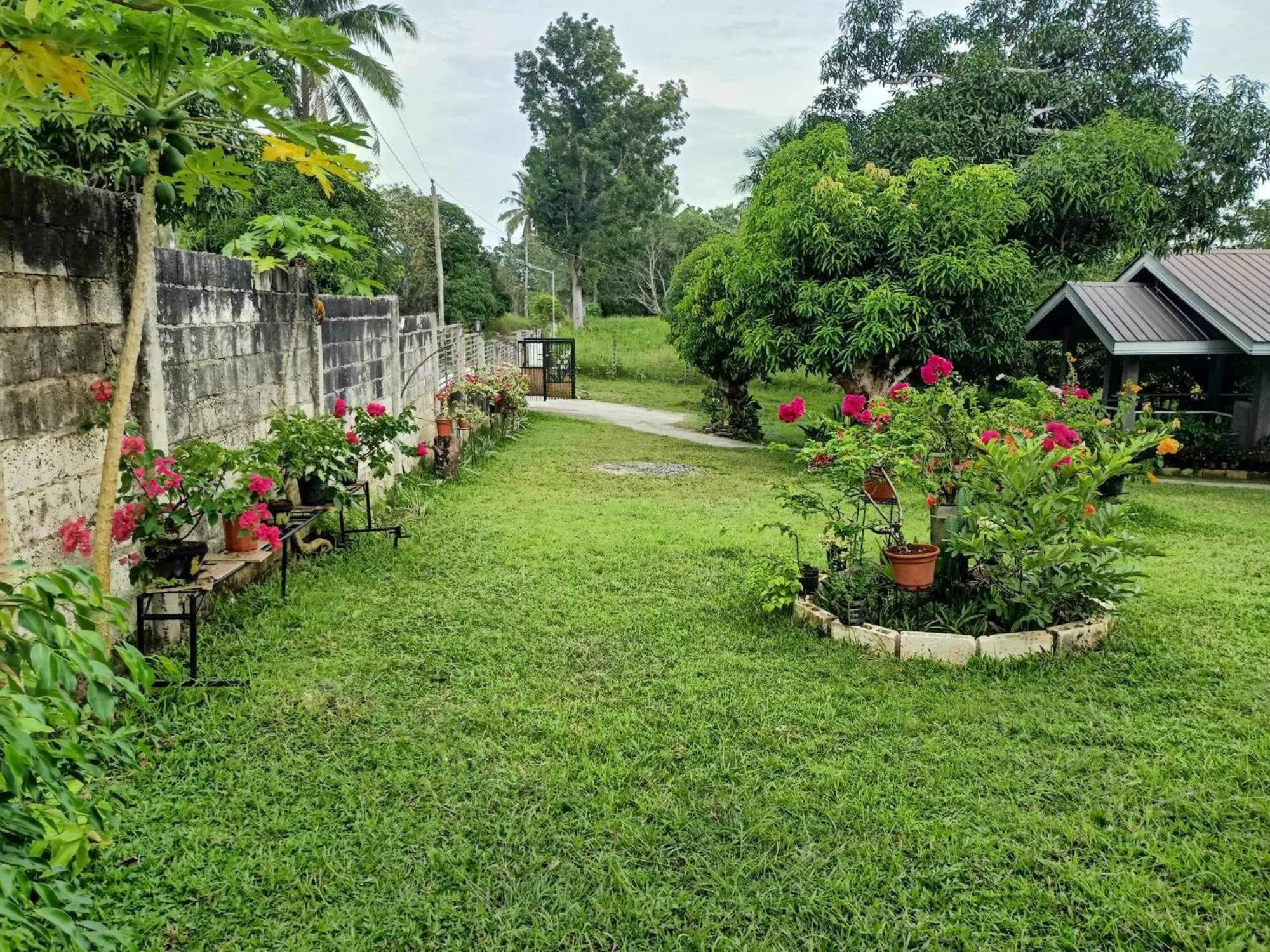 Balai Mariacaria Pension House Guindulman Ngoại thất bức ảnh